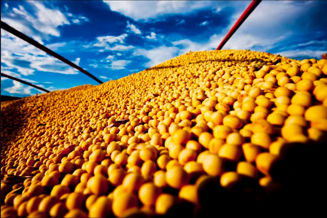 PIB do agronegócio brasileiro cresceu 12,20% em 2025
